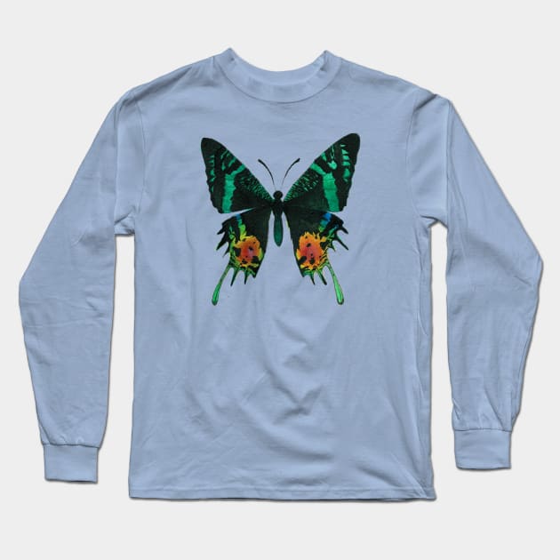 Madagascan Sunset Moth Watercolor Illustration Long Sleeve T-Shirt by Danica Templeton Art